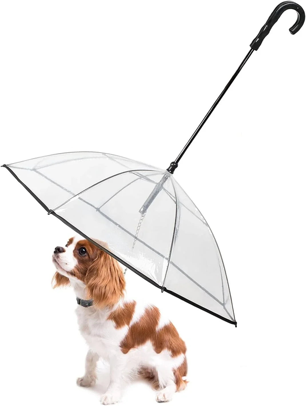 NEW Arrivals Dog Umbrella with Leash for Small Large Pets, Outdoor Walking Hiking Umbrella for Dogs Fits 20” Back Length Pets, J-Shape Handle, Clear Umbrella Surface Pets Accessories