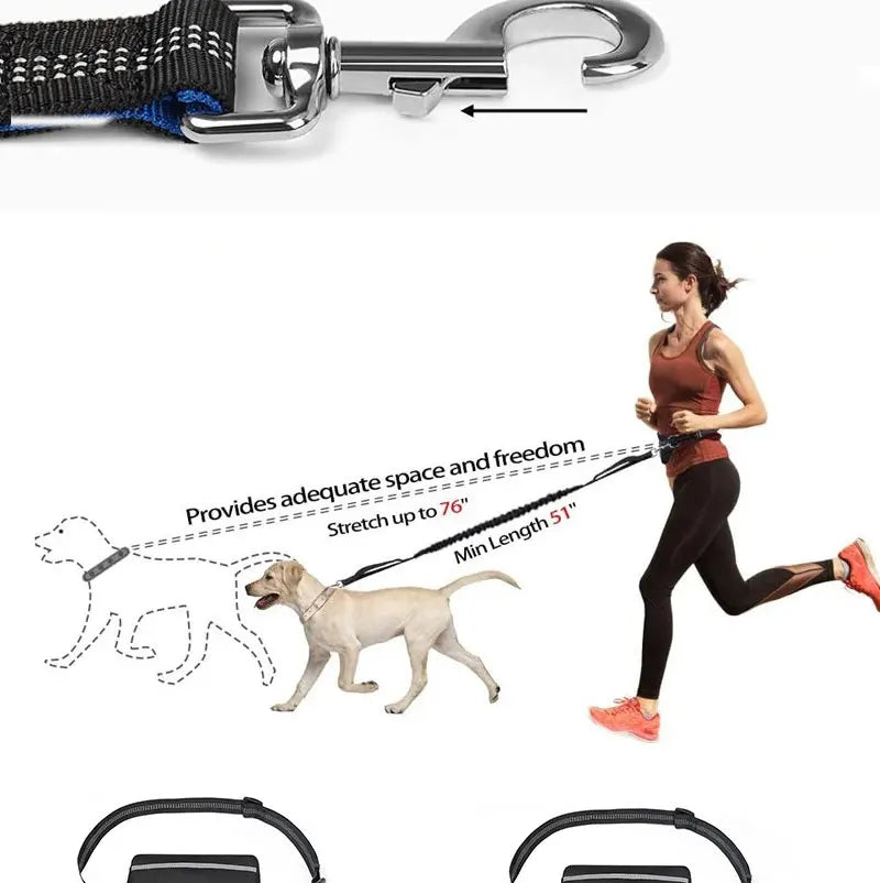 NEW Arrivals 2 in 1 Set Multifunctional Sports Waist Bag Extended Hands Free Leash Adjustable for Dog Outdoor Walking Hiking and Leash Pet Running Leash with Waist Bag Pets Supplies