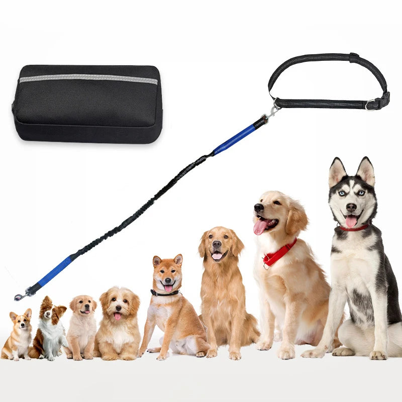 NEW Arrivals 2 in 1 Set Multifunctional Sports Waist Bag Extended Hands Free Leash Adjustable for Dog Outdoor Walking Hiking and Leash Pet Running Leash with Waist Bag Pets Supplies