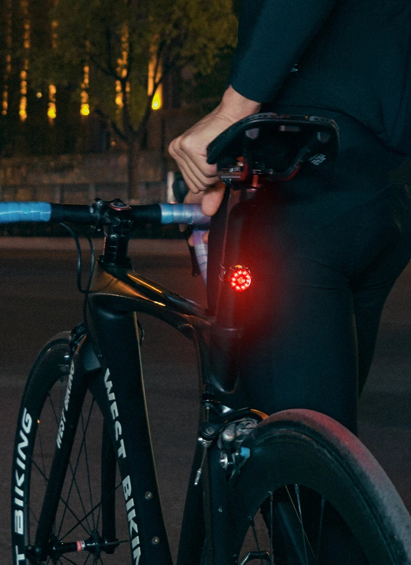 NEW Arrivals Smart Bicycle Tail Rear Light Brake Warning Taillights IP64 Waterproof USB Rechargeable Flash Light Bike Accessories