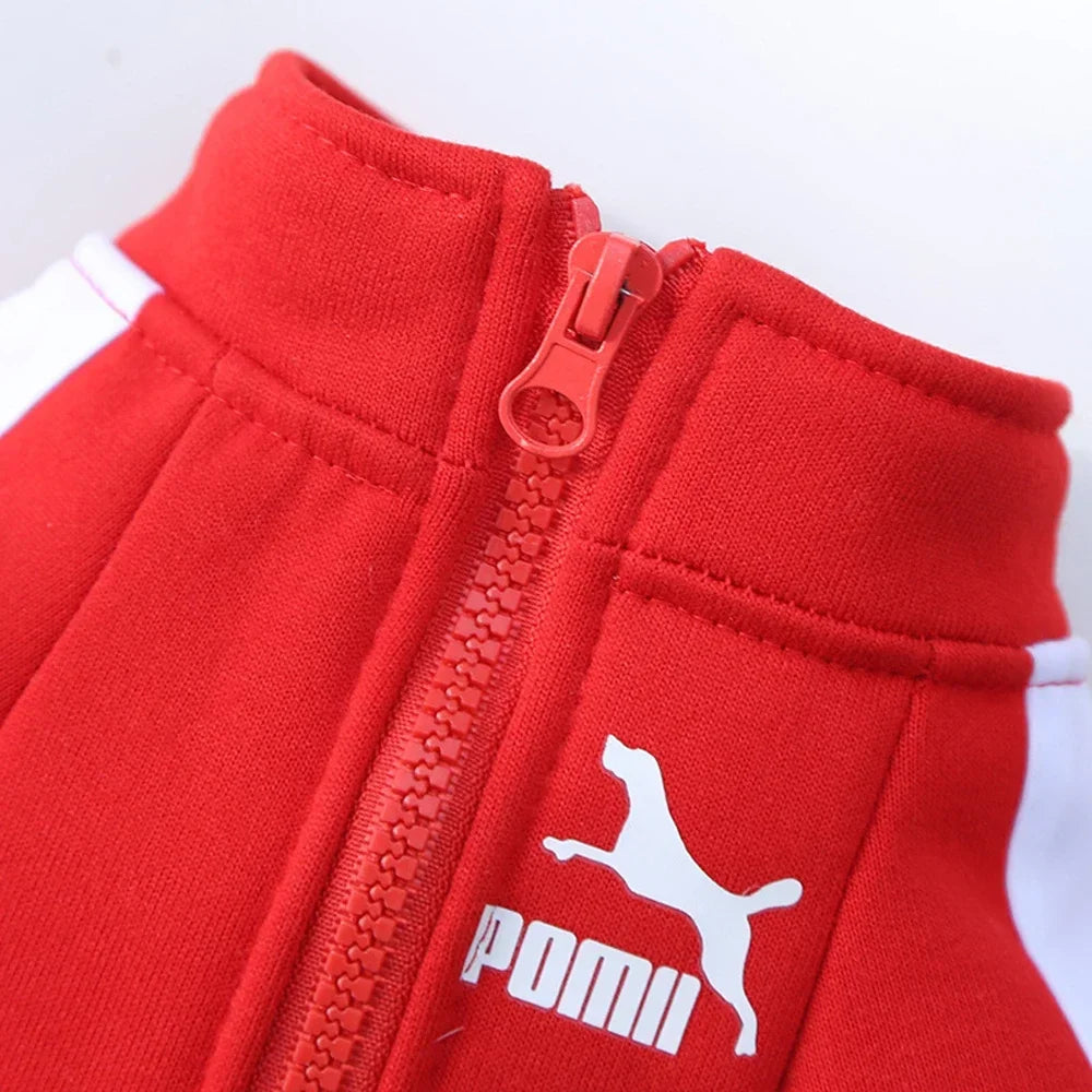 S-4XL PUMA Warm Dog Baseball Clothes for Small Medium Dogs Cat Sweater Pet Clothing for Chihuahua Bulldogs Puppy Costume Winter