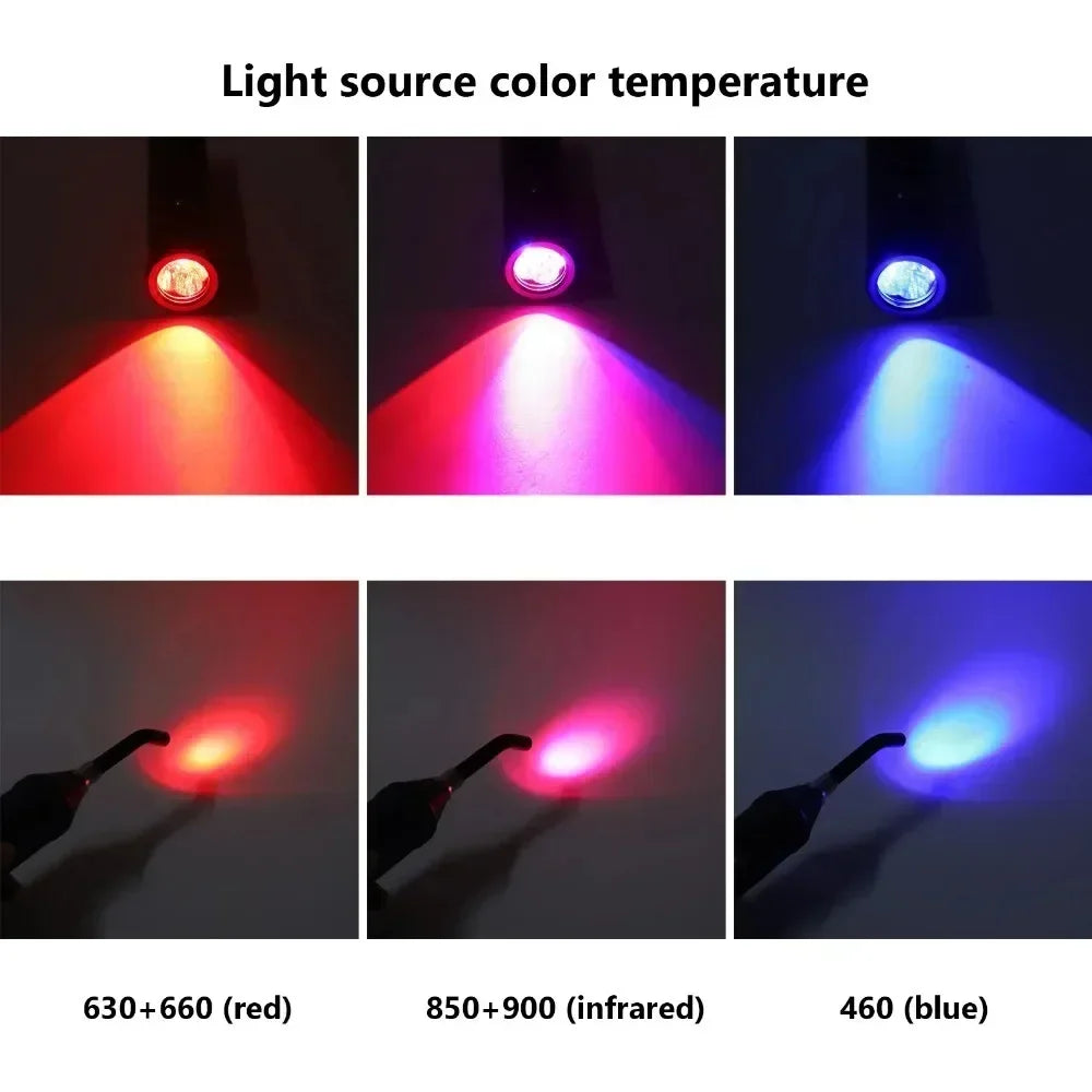 Professional Red Blue Light LED Physiotherapy Flashlight Canker Sore Treat Devices Light Therapy Devices Lip Nose Ears Body Muscles