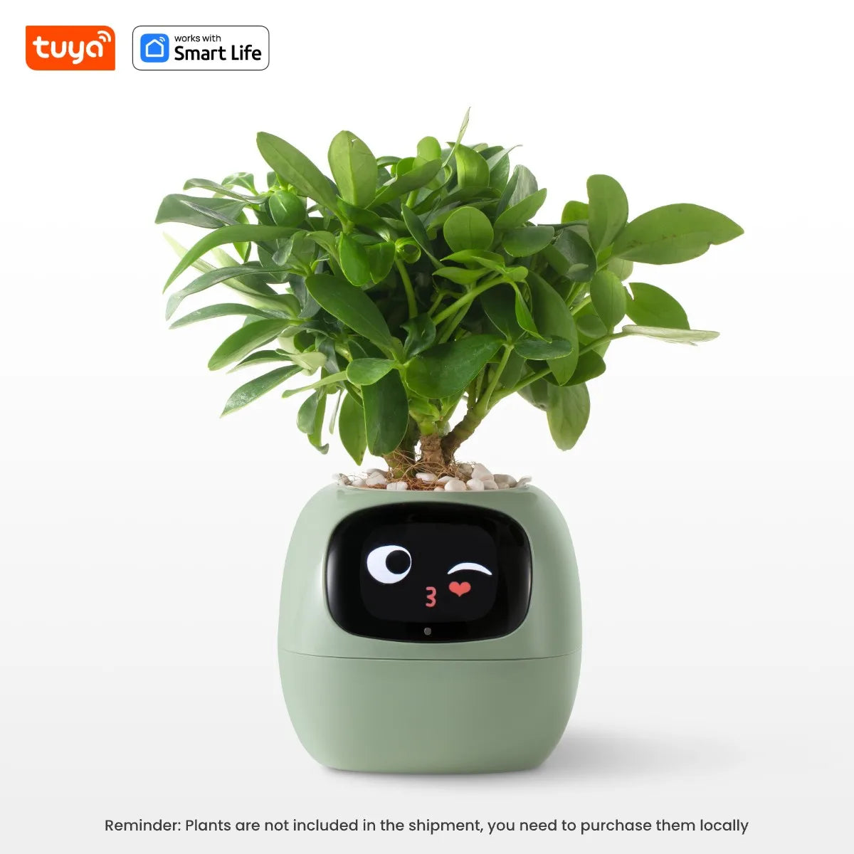 TUYA APP Ivy Smart Planter ,Endless Fun Over 49 Rich Expressions,7 Smart Sensors , AI Chips Make Raising Plants Easy and Fun Home Gardening Supplies