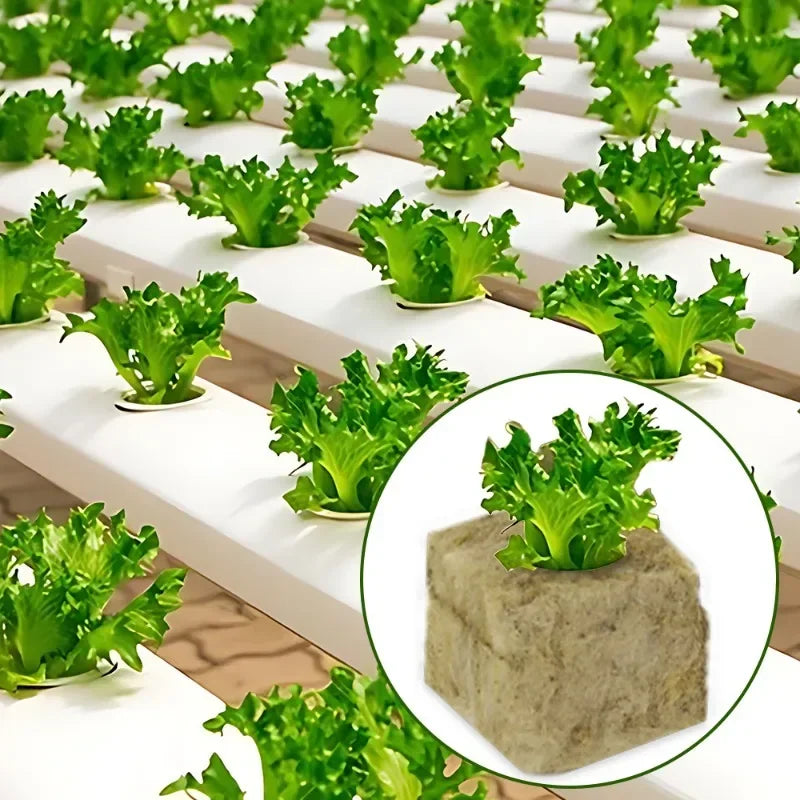 NEW Arrivals 100-200-300-500PCS Set Rockwool Hydroponic Grow Media Cubes Garden Seedling Block Water Cultivation Plant Seed Sowing Germination Blocks Home Garden Supplies