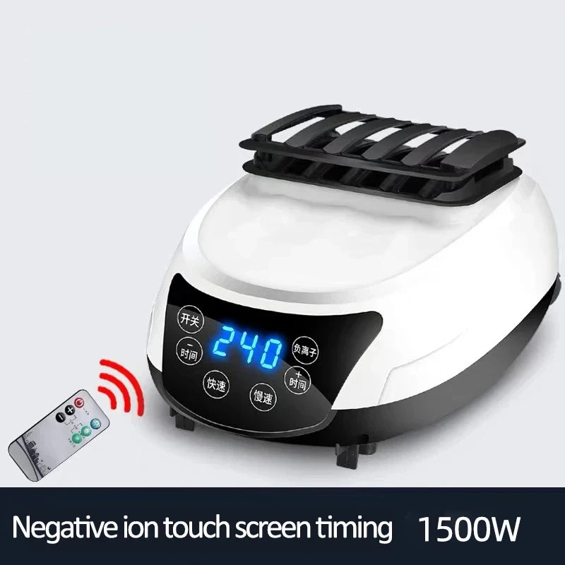 NEW Arrivals Negative ION Electric Clothes Dryer Portable Quickly Drying Clothes Shoes Electric Heater Dryer Machine Warm Air Remote Control