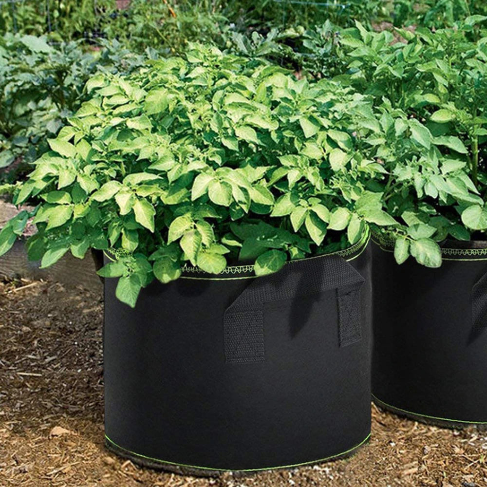 3-5Pcs Vegetable/Flower/Plant Grow Bags 3/4/5/7/10 Gallon, Thickened Non-Woven Grow Bags, Aeration Fabric Pots with Handles