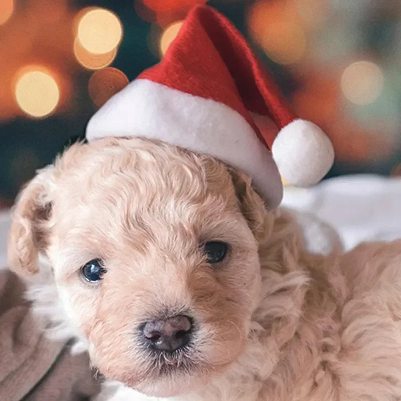 50PCS Christmas Pet Dog Cat Santa Hat Cosplay Hats Pet Costume Ornaments Christmas Party Pet Supplies Christmas Decorations