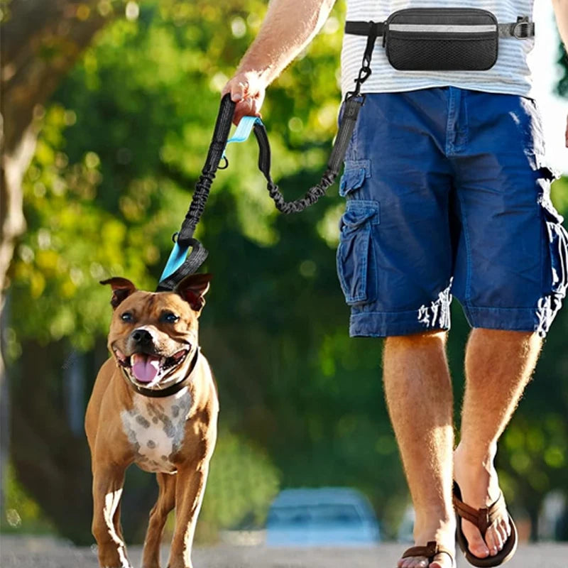 NEW Arrivals 2 in 1 Set Multifunctional Sports Waist Bag Extended Hands Free Leash Adjustable for Dog Outdoor Walking Hiking and Leash Pet Running Leash with Waist Bag Pets Supplies