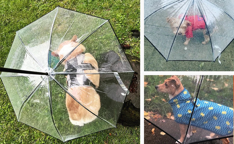 NEW Arrivals Dog Umbrella with Leash for Small Large Pets, Outdoor Walking Hiking Umbrella for Dogs Fits 20” Back Length Pets, J-Shape Handle, Clear Umbrella Surface Pets Accessories