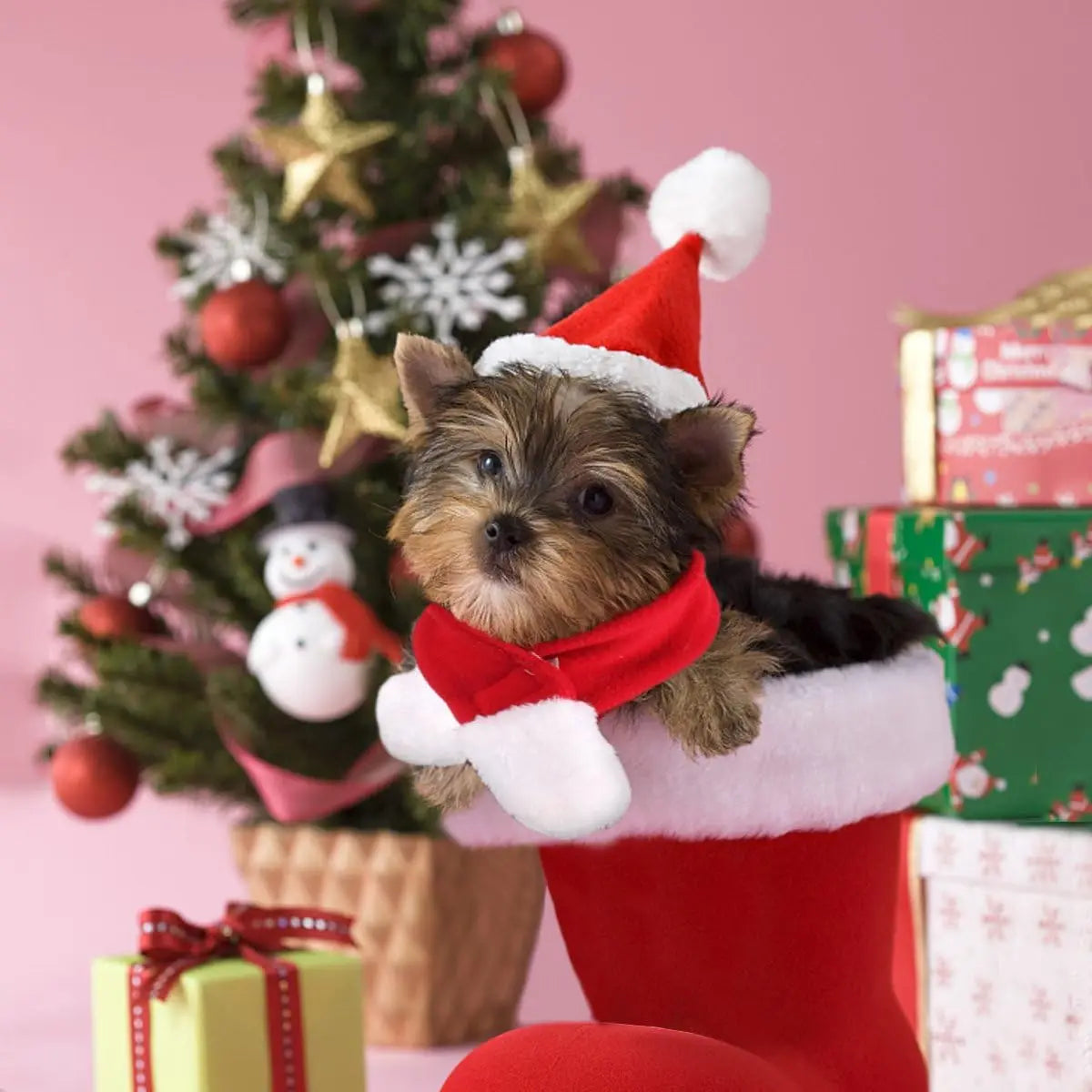 Christmas Cat Costume Small Dog Santa Claus Hat with Scarf Kitty Xmas Outfit Apparel Pet Santa Claus Set for Kitten, Puppy