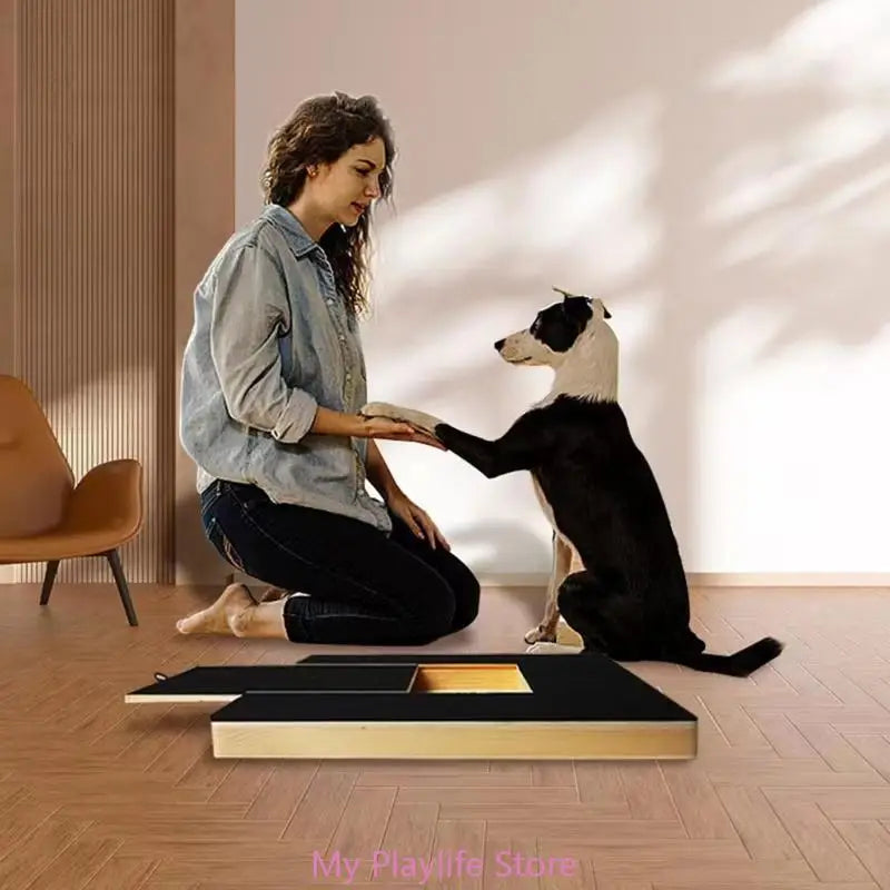 Interactive Dog Scratch Board with Treat Box Pet Dog Grinding Pad Stress Relief Puppy File Board Pet Supplies