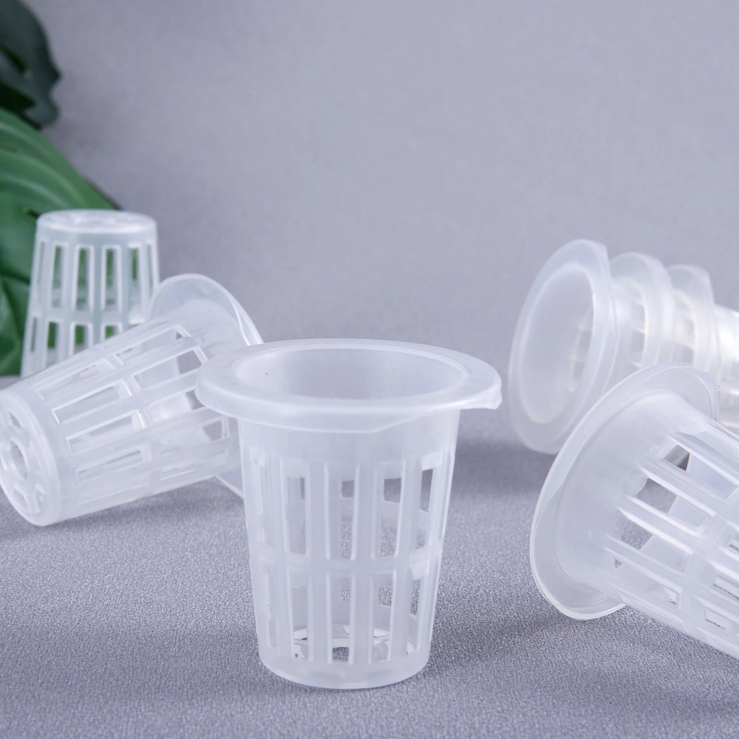 NEW Arrivals 50PCS Set Hydroponic Planting Basket Soilless Cultivation Net Pots Plant Vegetable Growing Nursery Cup Sponge Fixator Container Home Garden Supplies