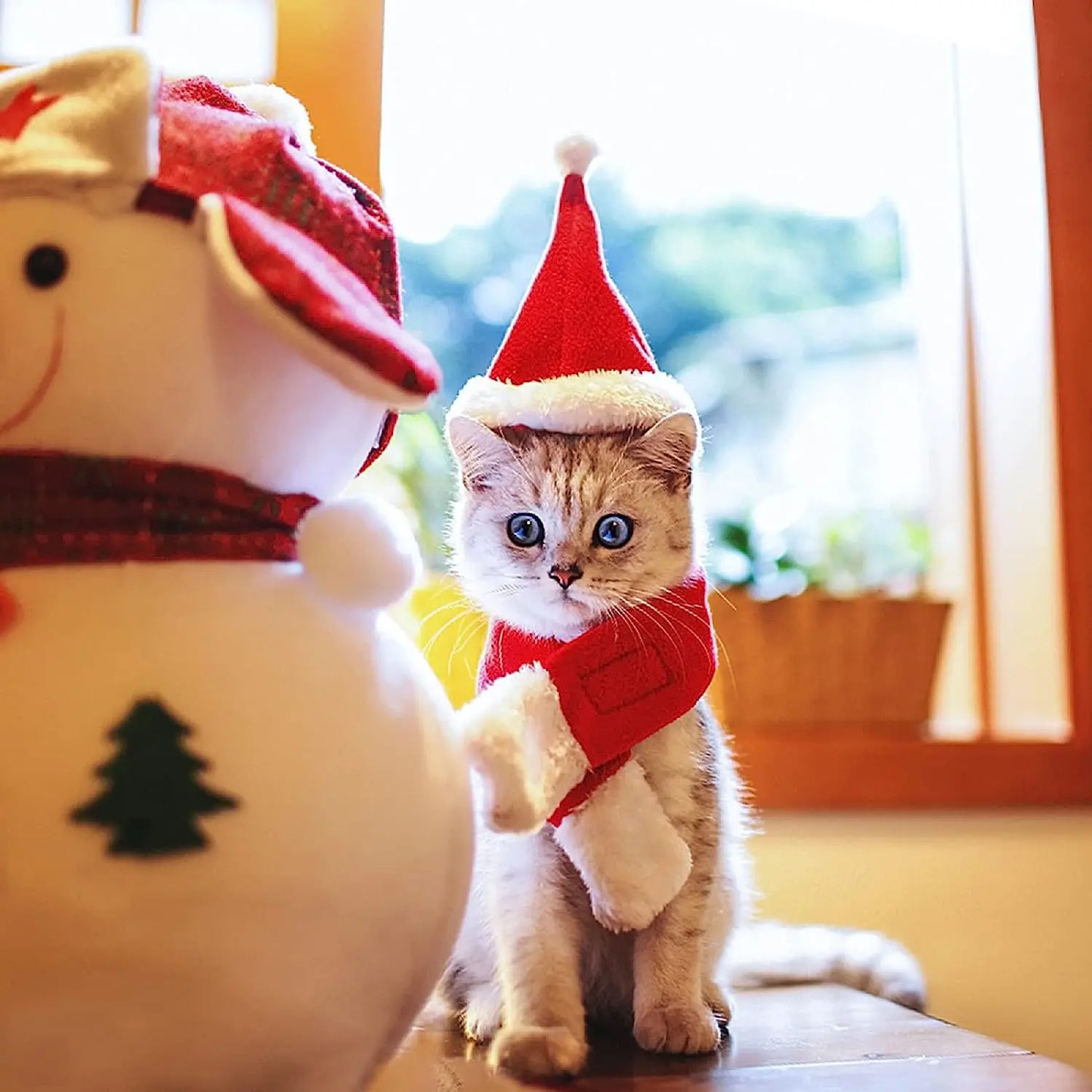 Christmas Cat Costume Small Dog Santa Claus Hat with Scarf Kitty Xmas Outfit Apparel Pet Santa Claus Set for Kitten, Puppy