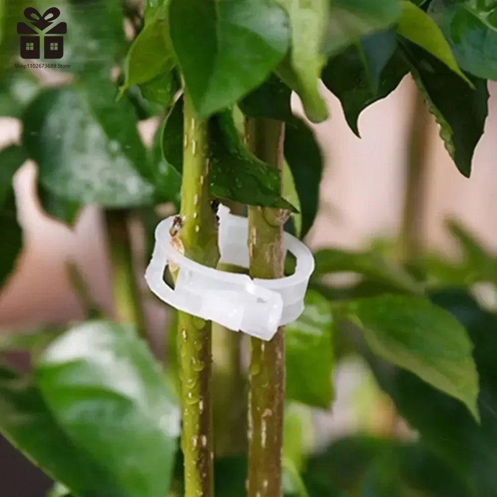 100/150Pcs Plastic Plant Support Clips Reusable Plant Vine Protection Grafting Fixing Tool for Vegetable Tomato Garden Supplies