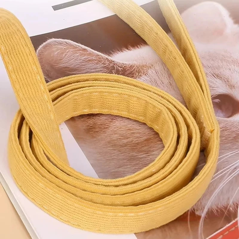 NEW Arrivals S-M Size Cat Leash Anti Breakaway Outdoor Leash Cat Carrier Adjustable Collar Bee Leash for Small and Medium Pets