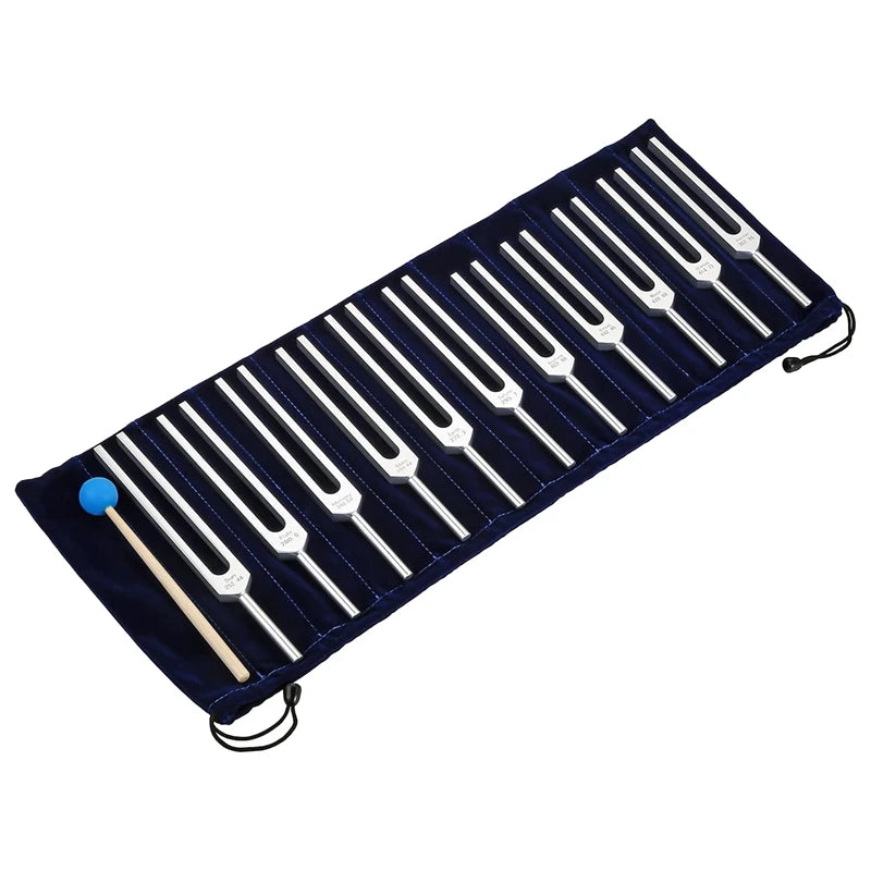 NEW Arrivals 11PCS Set ABME Japanese Tuning Fork Set, For Healing, Sound Therapy, Yoga Meditation With Silicone Hammer Cleaning Cloth And Bag Anti-Stress Depression Reliever Health Care Supplies
