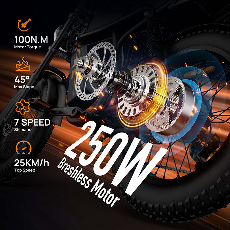 20"x4" Fat Tire Electric Mountain Bike T2 - 250W High-Efficiency Motor, 48V 15.6Ah Removable Battery, 25KM/H, 80-100 Mile Range, 7-Speed Transmission, Hydraulic Disc Brakes, LCD Display, Perfect for Snow & Rough Terrains