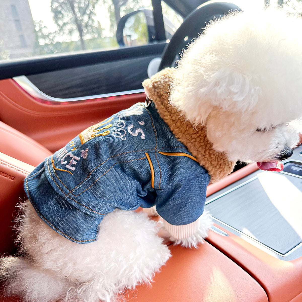 XS-XL Size Pet Clothing for Small Medium Dogs: Casual, Fashionable, Comfortable, Warm, -Lined, Thickened Jacket for Autumn and Winter Pets Apparel Clothing Supplies