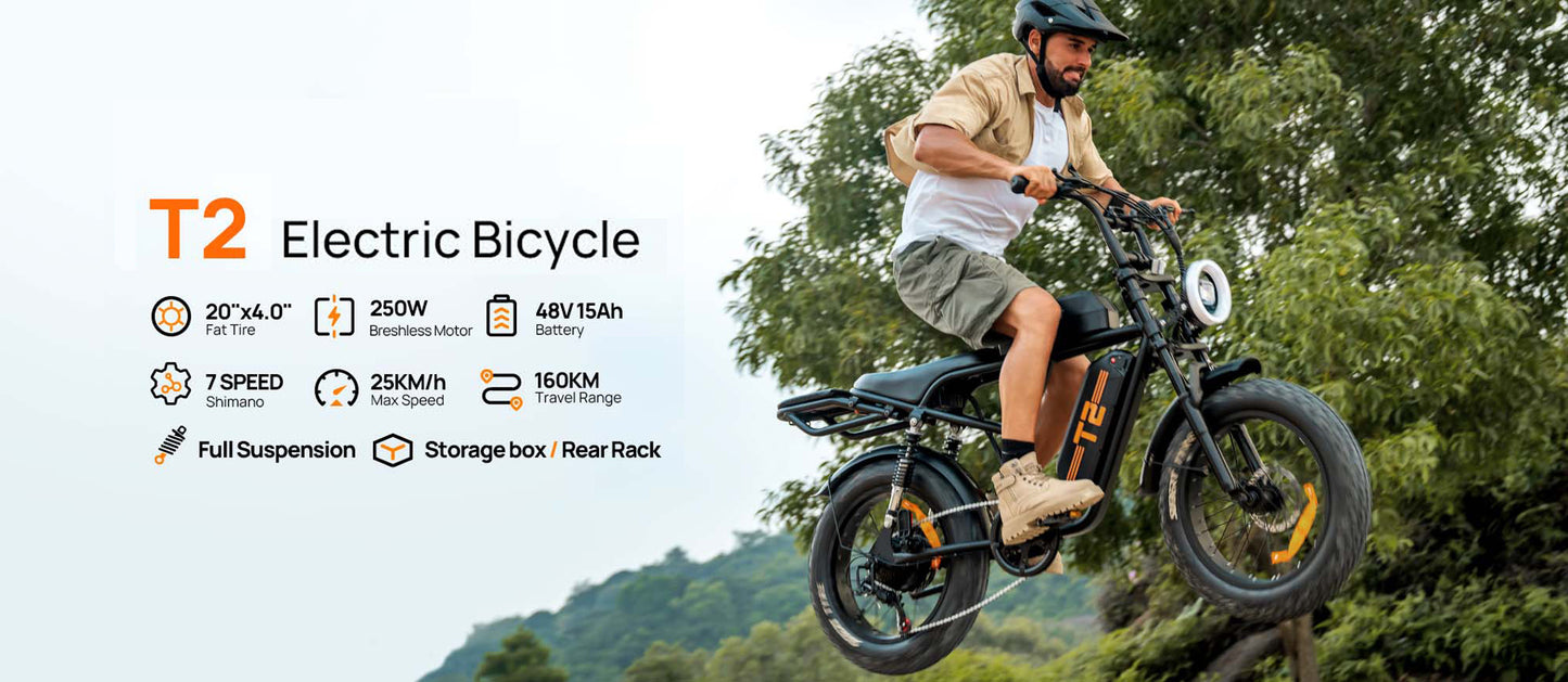 20"x4" Fat Tire Electric Mountain Bike T2 - 250W High-Efficiency Motor, 48V 15.6Ah Removable Battery, 25KM/H, 80-100 Mile Range, 7-Speed Transmission, Hydraulic Disc Brakes, LCD Display, Perfect for Snow & Rough Terrains