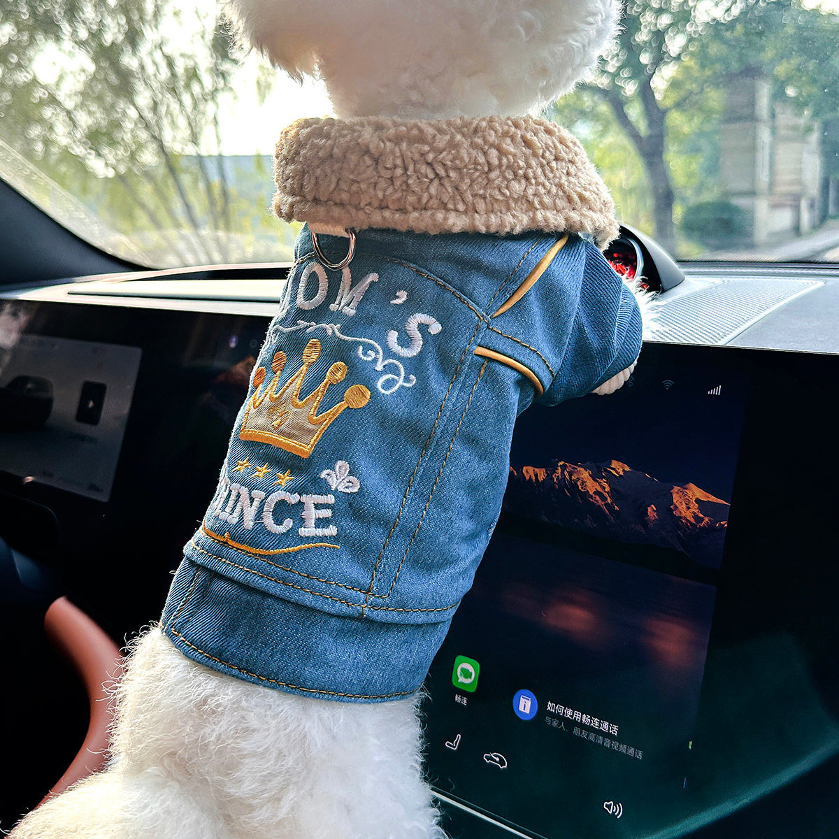 XS-XL Size Pet Clothing for Small Medium Dogs: Casual, Fashionable, Comfortable, Warm, -Lined, Thickened Jacket for Autumn and Winter Pets Apparel Clothing Supplies