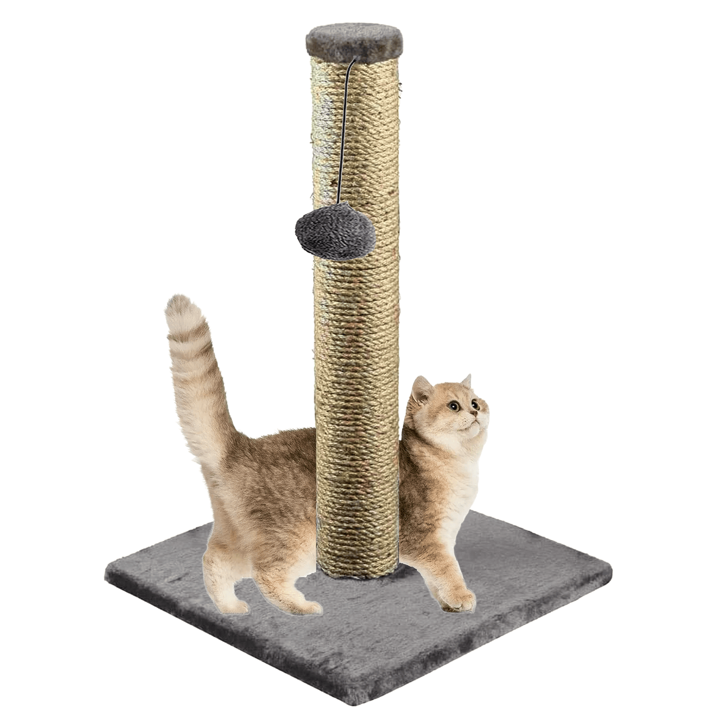 Cat Scratching Post 40cm Scratch Post Kitten Cat Tree Scratcher Sisal Pole Vertical Claw Scratching Tall Modern Design For Cats New