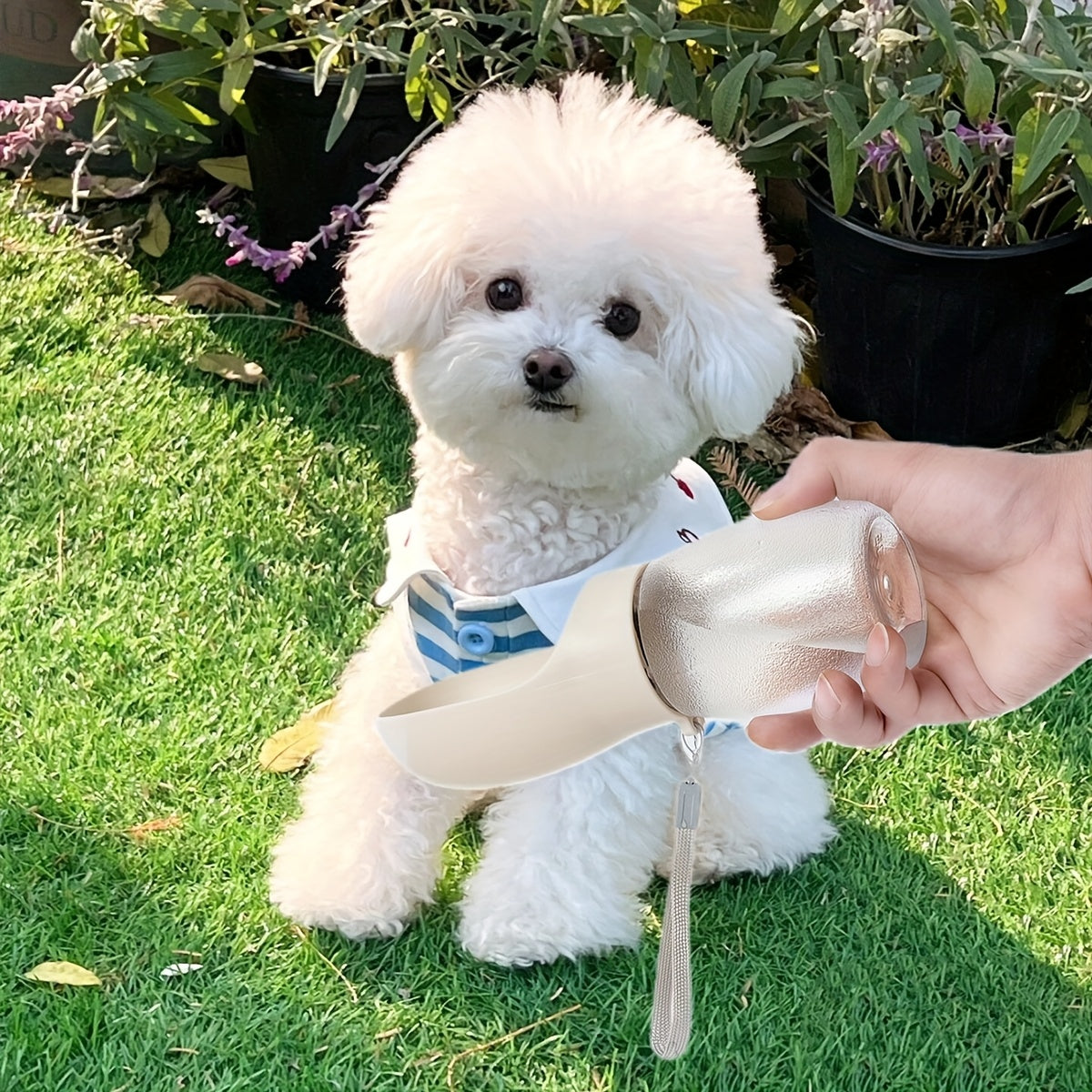 Plastic Pet Supplies Cat Dog Water Dispenser Outdoor Travel Hiking Water Bottle