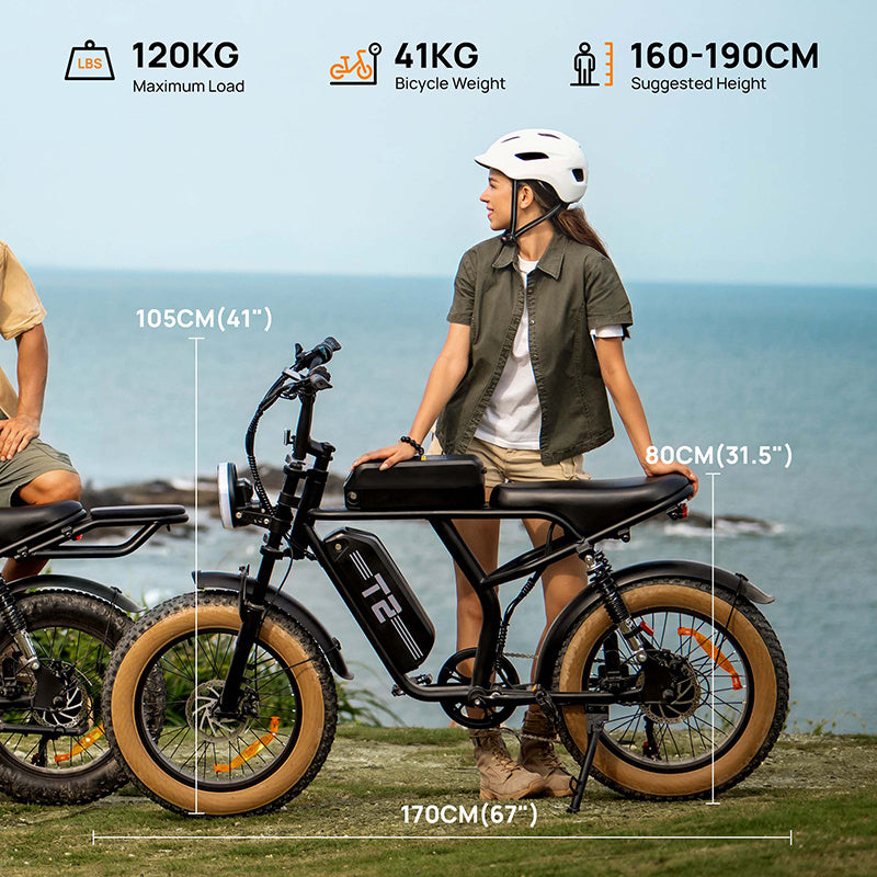 20"x4" Fat Tire Electric Mountain Bike T2 - 250W High-Efficiency Motor, 48V 15.6Ah Removable Battery, 25KM/H, 80-100 Mile Range, 7-Speed Transmission, Hydraulic Disc Brakes, LCD Display, Perfect for Snow & Rough Terrains