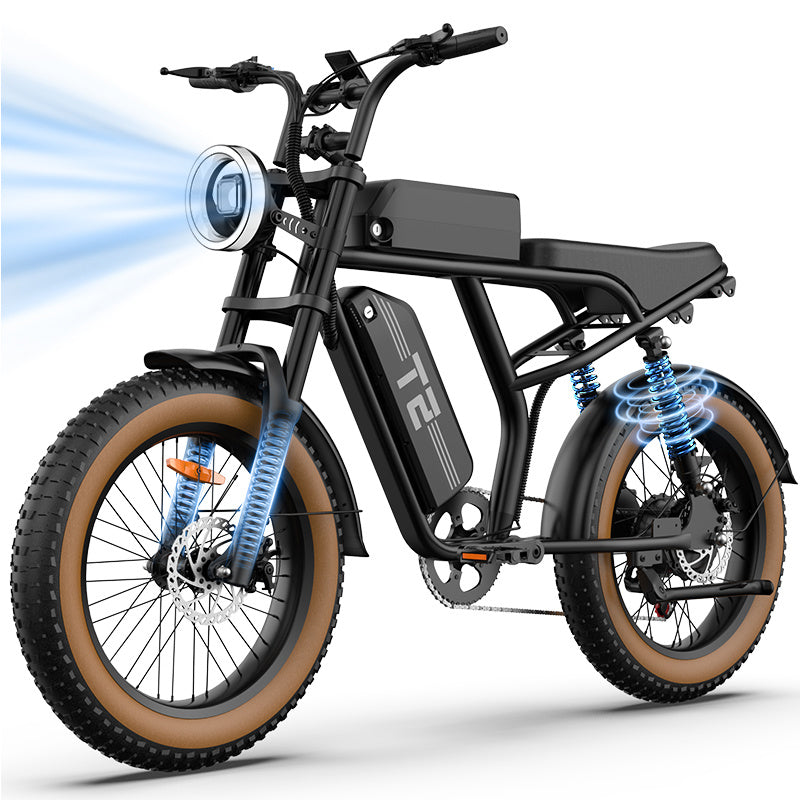 20"x4" Fat Tire Electric Mountain Bike T2 - 250W High-Efficiency Motor, 48V 15.6Ah Removable Battery, 25KM/H, 80-100 Mile Range, 7-Speed Transmission, Hydraulic Disc Brakes, LCD Display, Perfect for Snow & Rough Terrains