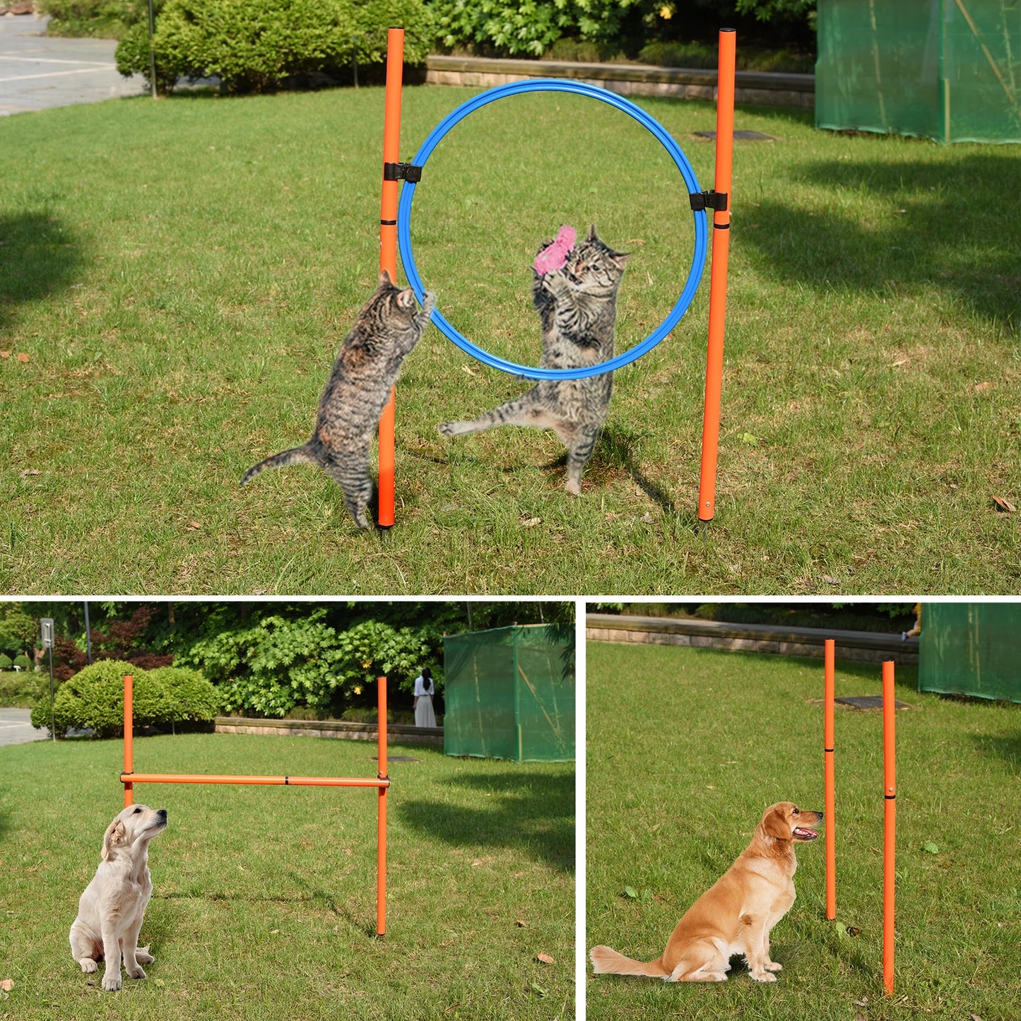 Dog Agility Obstacle Kit Agility Dog Course Dog Tunnel Jump Ring, Jump Pole, Weave Pole For Outdoor Agility Training For Dogs