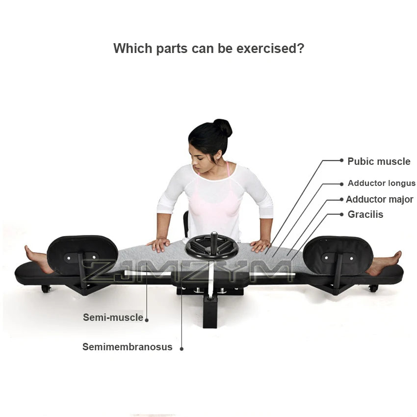 NEW Arrivals Home Indoor Gym Fitness Leg Stretcher Feet Stretching Machine Heavy Duty Steel Frame Training Stretching Sports Equipment for Home Gym Slimming Gymnastic Accessories Sports Supplies