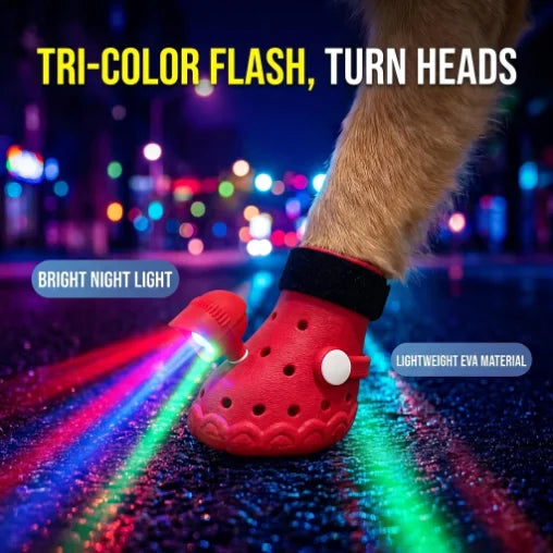NEW Arrivals 3 Colors Dog Shoes with Flashing Lights, Anti-Slip, Breathable, and Adjustable Velcro Fastening Anti-Loss Night Walking Shoes Pets Clothing Supplies