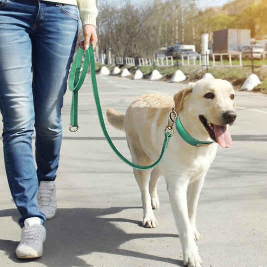 NEW Arrivals Real Leather Dog Leash 150cm Pet Walking Training Leads Genuine Leather for German Shepherd Golden Retriever Medium Large Dogs Leash Pets Supplies