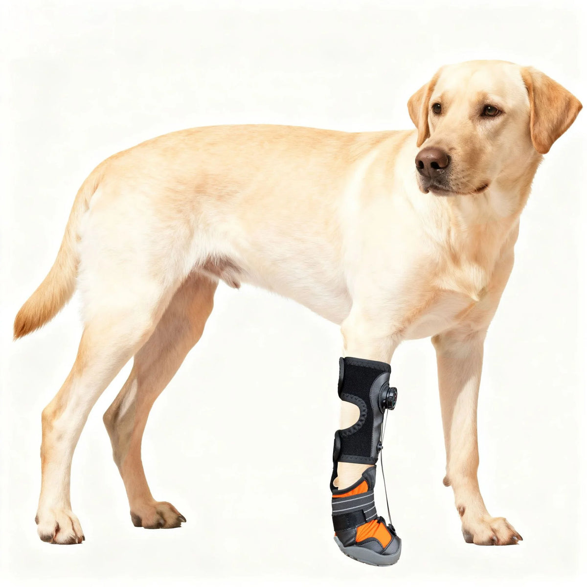 S-XL Professional Orthopedic Dog Boots with Rotary Dial System Anti-Slip Hard Sole Pet Shoes Never Fall Off Ankle Brace  Protector Dogs Outdoor Walking Shoes