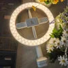 Professional LED Ring Light for Mobile Phone Beauty Selfie Video Recording for Live Broadcast TikTok YouTube Videos Maker -Mobile Phone Stand Lighting Live Streaming Home Studio Supplies