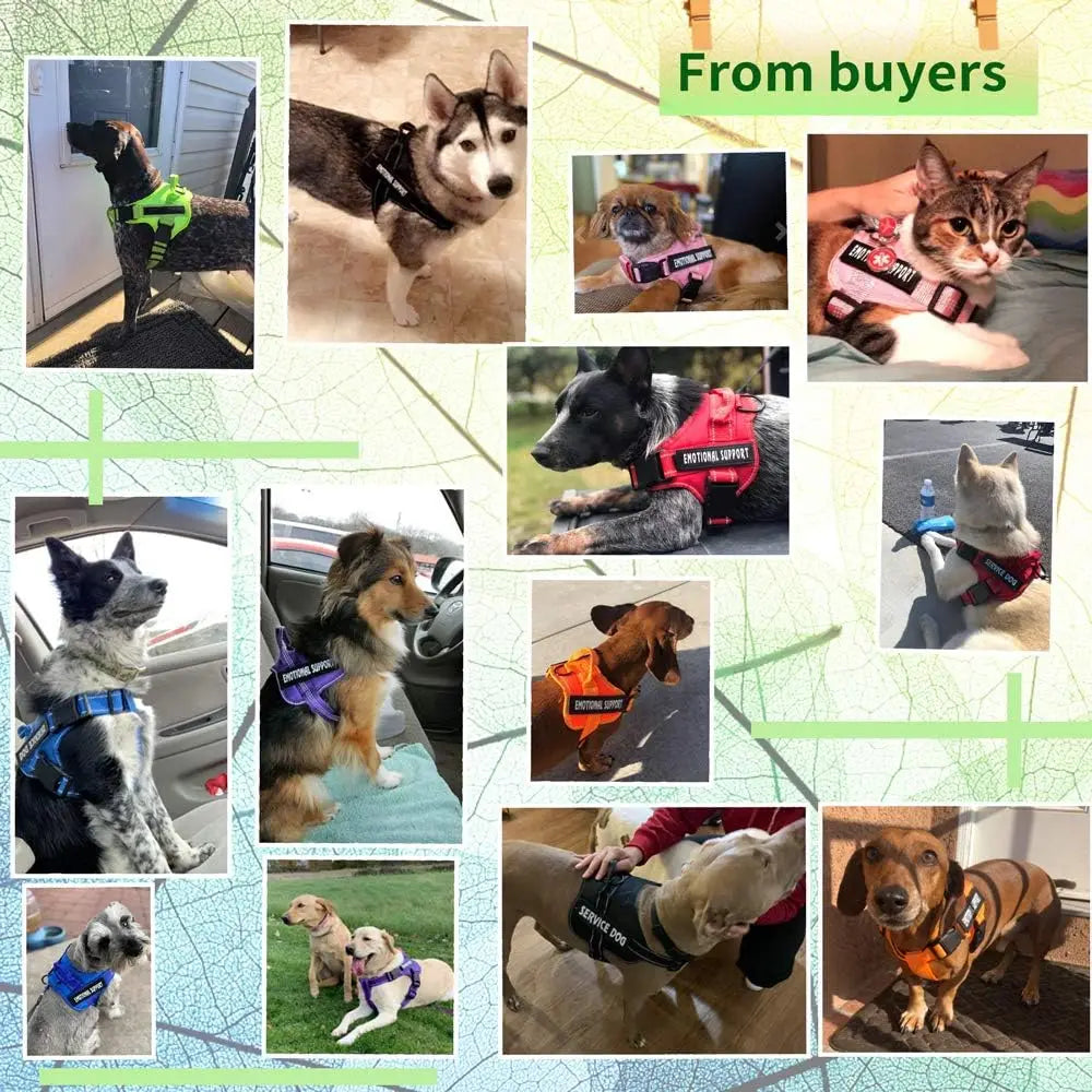 Xs-XL Size 4 Colors Service Dog Harness, Emotional Support Pet Vest Harness, Reflective Breathable and Adjustable No-Pull ESA Dog Harness