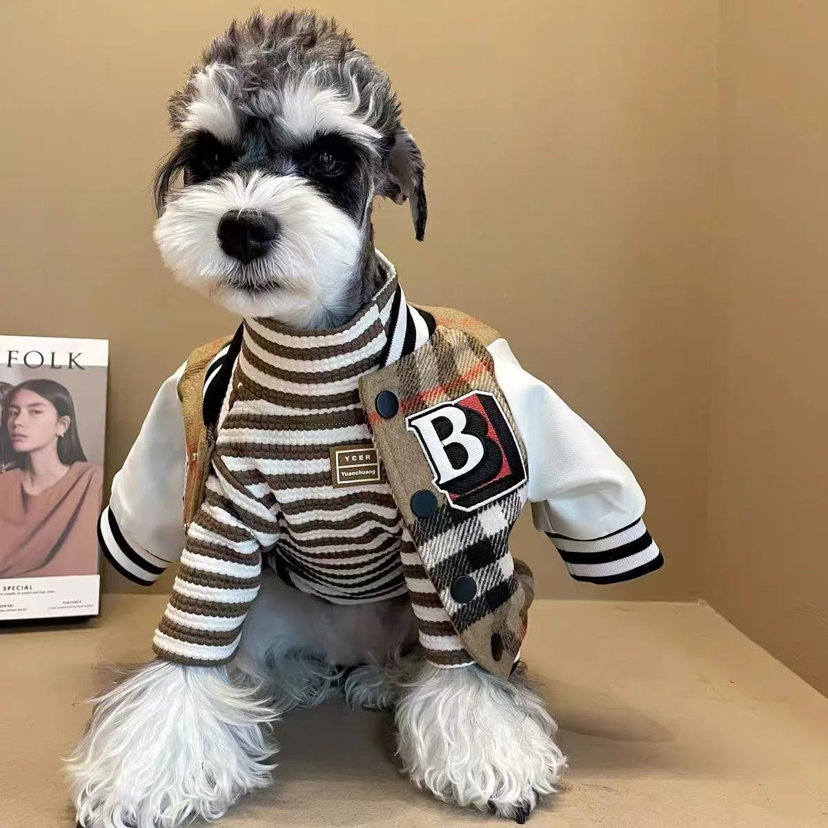 S-2XL Dog Clothes Autumn/Winter Thick Warm Baseball Uniform Sustainable Pet Hoodies Pet Clothes