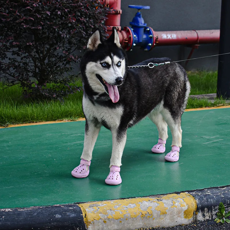 NEW Arrivals 8 Colors Hot Summer Pavement Dog Rain Shoes with Holes Anti Slip Paw Protectors Waterproof Noctilucent Dog Boots Night Walking Anti-Lost Shoes Pets Apparel Accessories