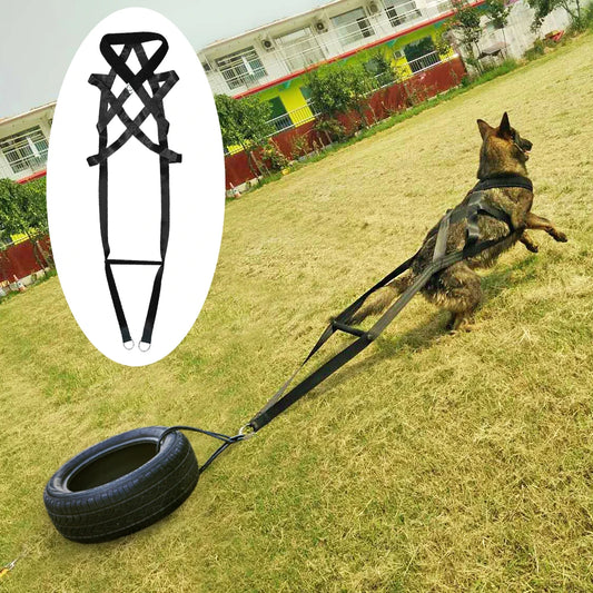 Dog Training Product Supplier Toys Dog Treats Trainer Pet Accessories Adjustable for Medium Large Dogs German Shepherd