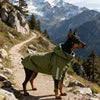 M-3XL Plus Size Green/Black Color Dog Winter Rain & Shine Jackets Dual-Use Windbreaker with Detachable Hood Reflective Strip Casual Two-Legged Coat Pet Clothes