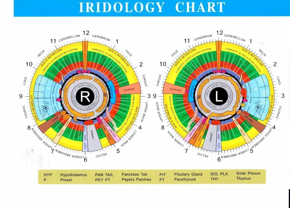 HOT SALE  Professional 3D Human Health Body Scanner Iris Camera Eye Iris Scope 12 Megapixel Iris Camera Analyzer Home Clinical Use