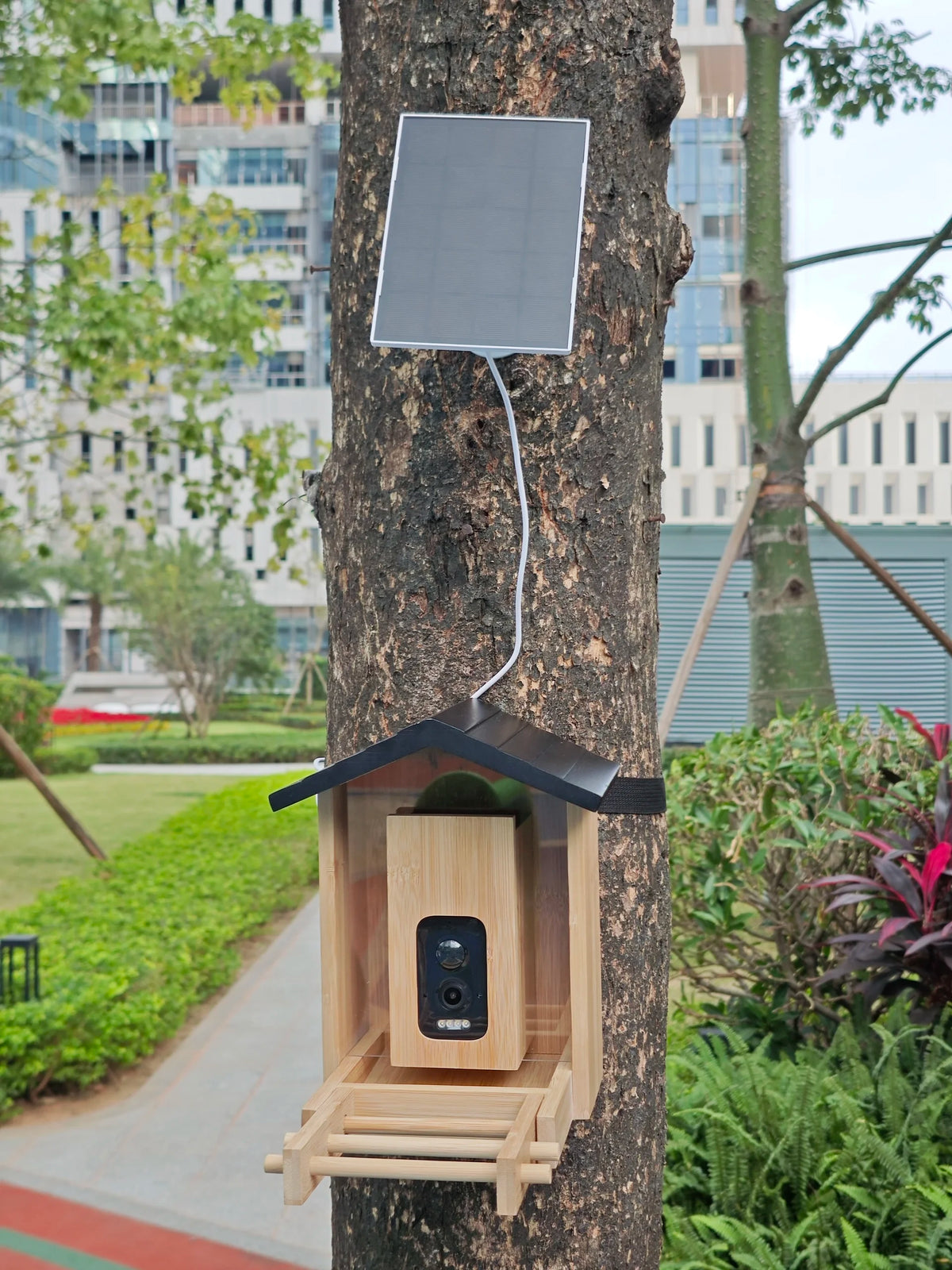 Home Garden Tree Mounted Eco-Friendly Solar Powered Smart Bird Feeder Camera 2K QHD IP66 Waterproof 11000+ Species AI Identification Fast Trail Game CMOS