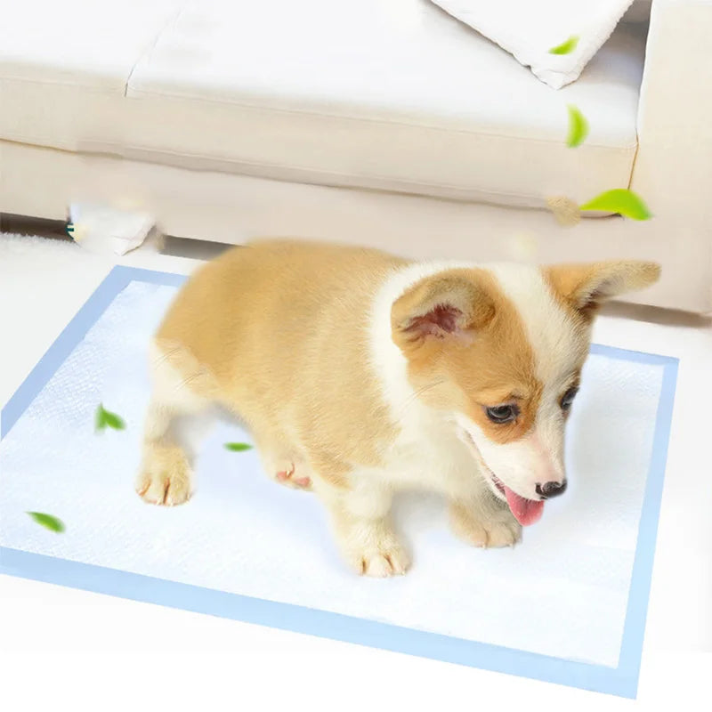 10 PCS Set S-XL  Super Absorbent Dog Cat Disposable Diaper Thick Deodorant Puppy Pet Urine Diaper Pad Mat Cat Litter Toilet Dogs Products