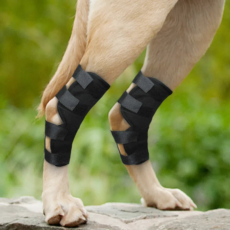 Pet Dog Leg Knee Brace Straps Protection for Leg Hock Joint Wrap Breathable Injury Recover Dog Leg Protector Support Parts