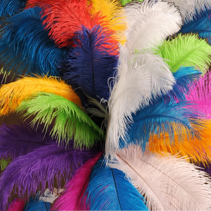 10 PCS Set 10 Colors Natural Ostrich Feathers Wedding Home Decor 30-35cm/40-45cm Ostrich Plumes Table Centerpiece Crafts