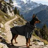 M-3XL Plus Size Green/Black Color Dog Winter Rain & Shine Jackets Dual-Use Windbreaker with Detachable Hood Reflective Strip Casual Two-Legged Coat Pet Clothes