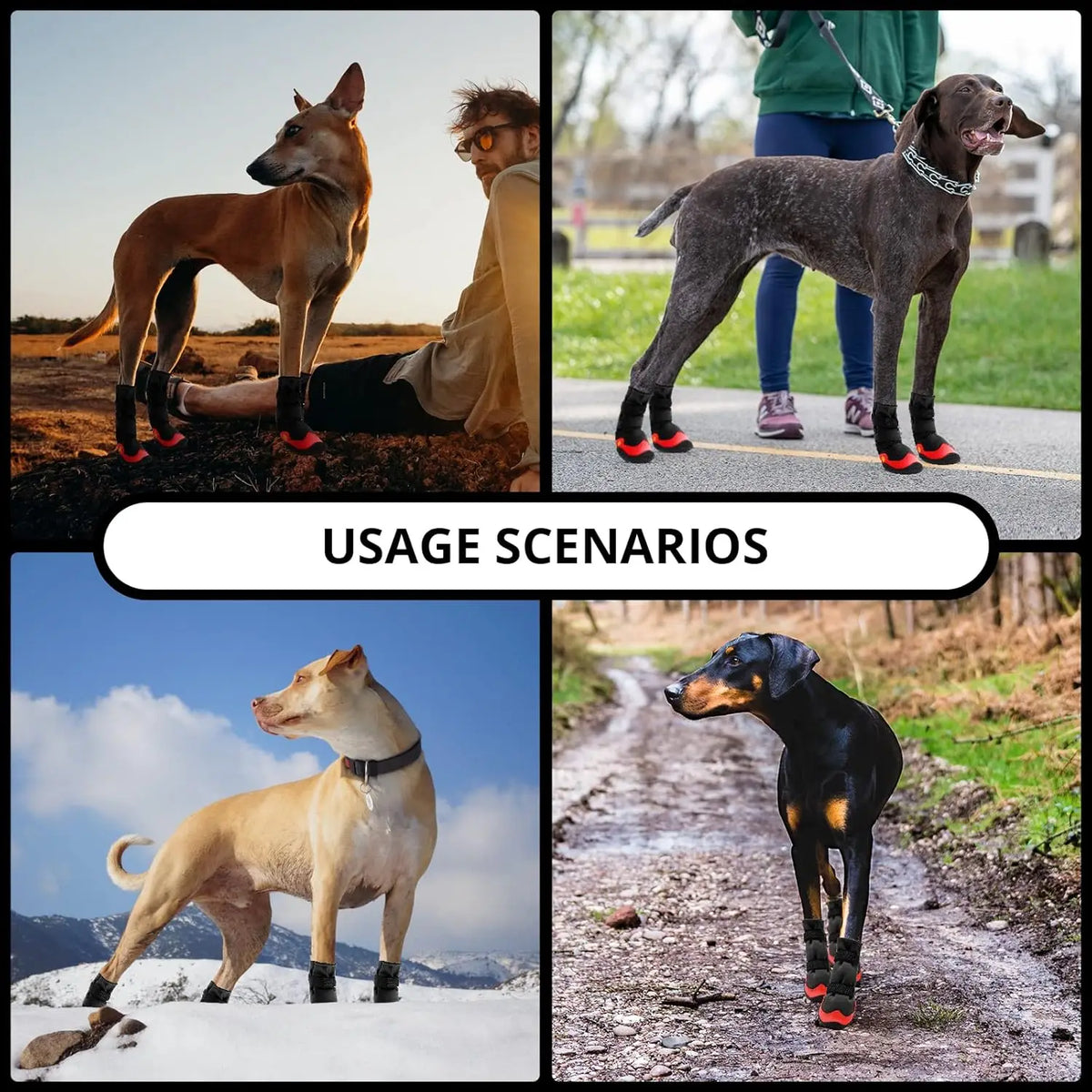 4 PCS Set 4 Colors Pet Dog Waterproof Soft Boots  Adjustable Reflective Straps Anti-Slip Dog Warm Shoes Snow Rain Protection Boots Pets Apparel Accessories