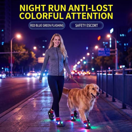 NEW Arrivals 3 Colors Dog Shoes with Flashing Lights, Anti-Slip, Breathable, and Adjustable Velcro Fastening Anti-Loss Night Walking Shoes Pets Clothing Supplies