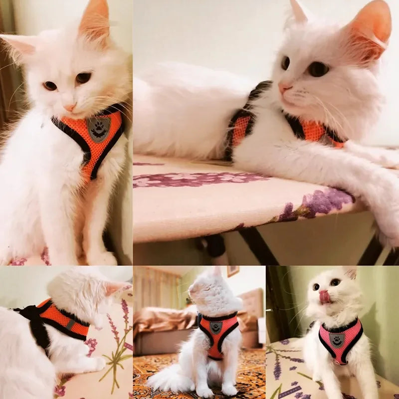 NEW Arrivals S-XL Size Cat Harness Vest Walking Lead Leash For Puppy Dogs Collar Adjustable Mesh Dog Harness For Small Medium Large Pet Accessories