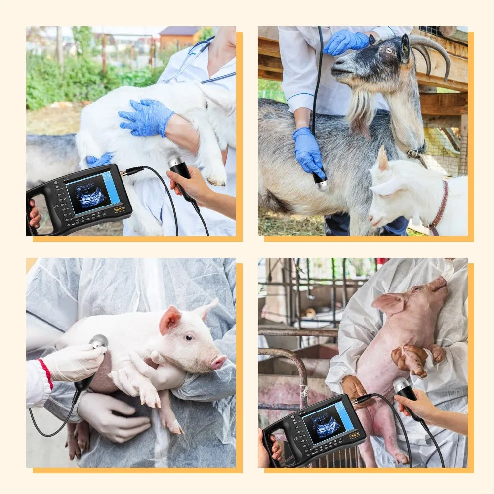 HOT SALE Portable Veterinary Ultrasound Scanner, Vet Pregnancy Ultra Machine with 3.5MHz Convex Probe for Horse Pig Sheep Goat Dogs Cow  Animals