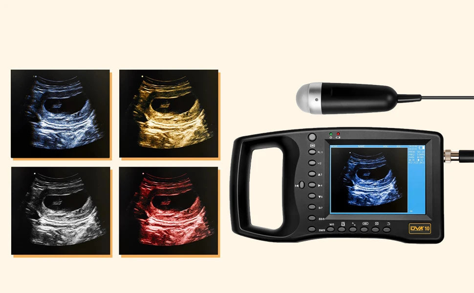 HOT SALE Portable Veterinary Ultrasound Scanner, Vet Pregnancy Ultra Machine with 3.5MHz Convex Probe for Horse Pig Sheep Goat Dogs Cow  Animals